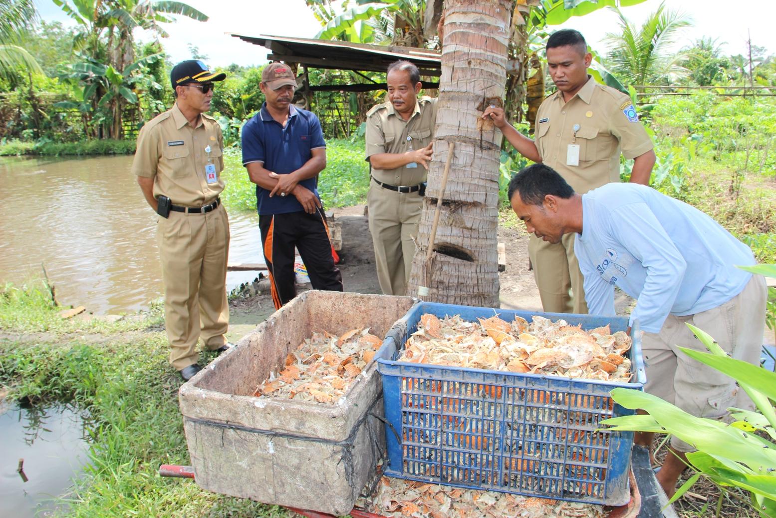 Potensi Perikanan Di Tuatunu