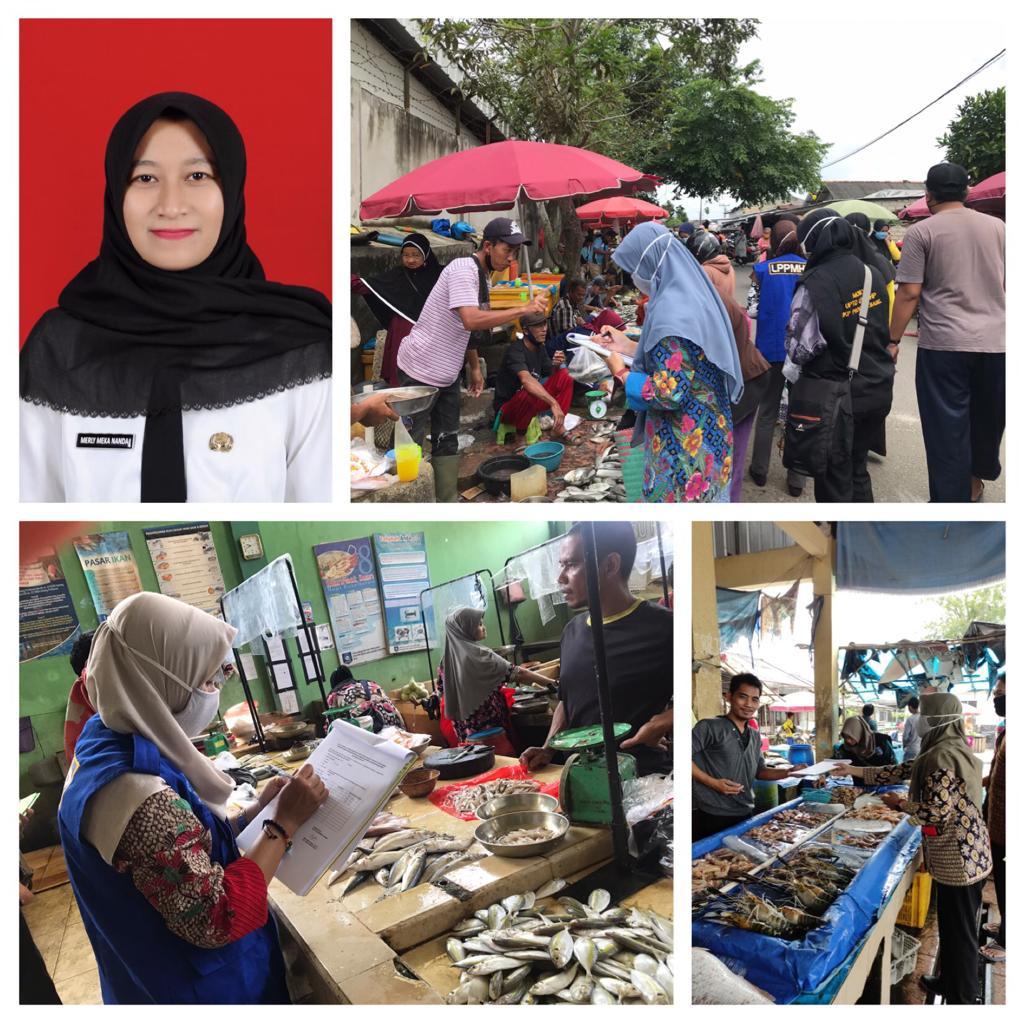 Pentingnya Informasi Harga Ikan dalam Pengendalian Fluktuasi Harga Ikan di Provinsi Kepulauan Bangka Belitung