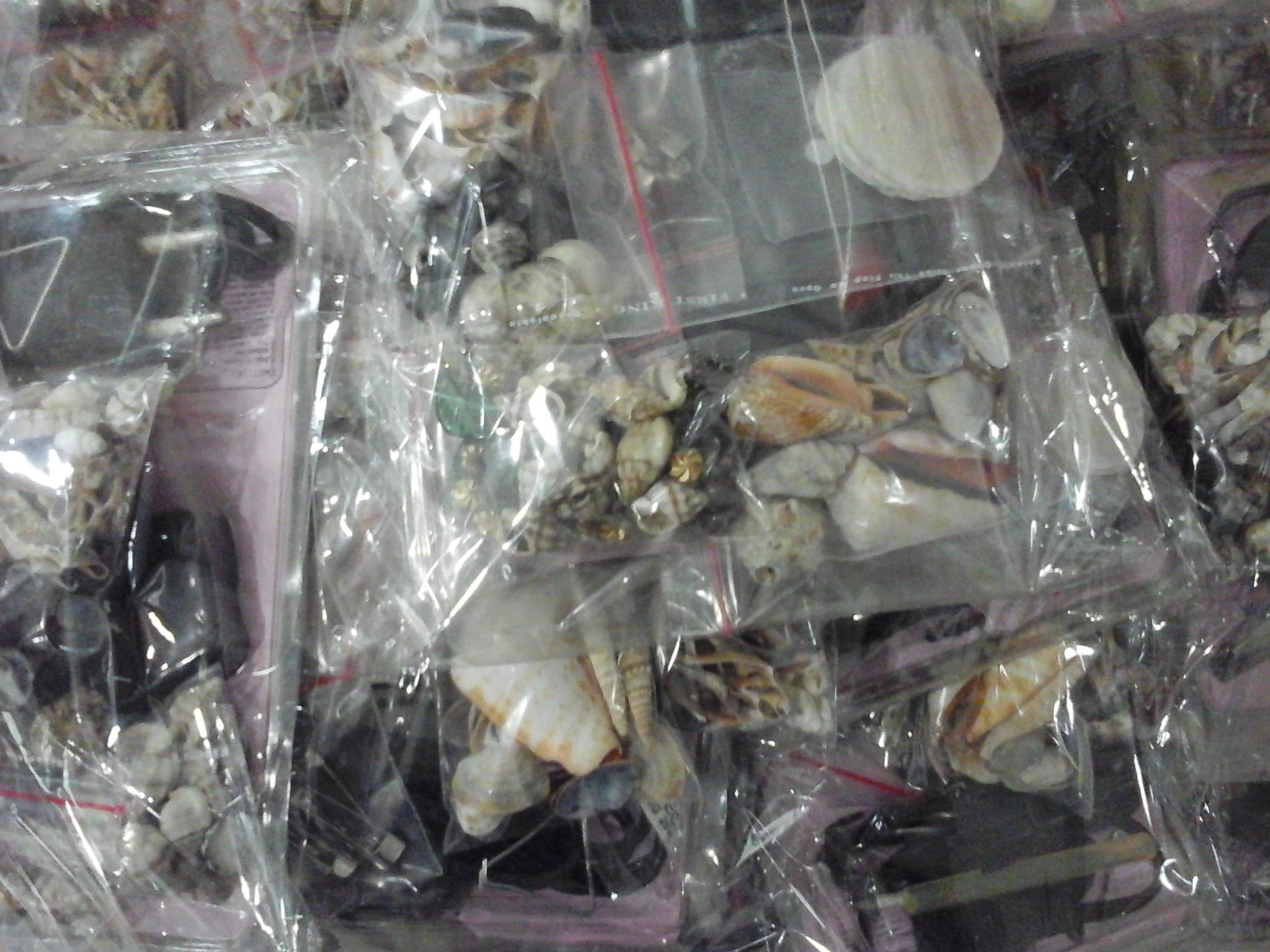 Pembinaan dan Pengembangan Perikanan Non Konsumsi