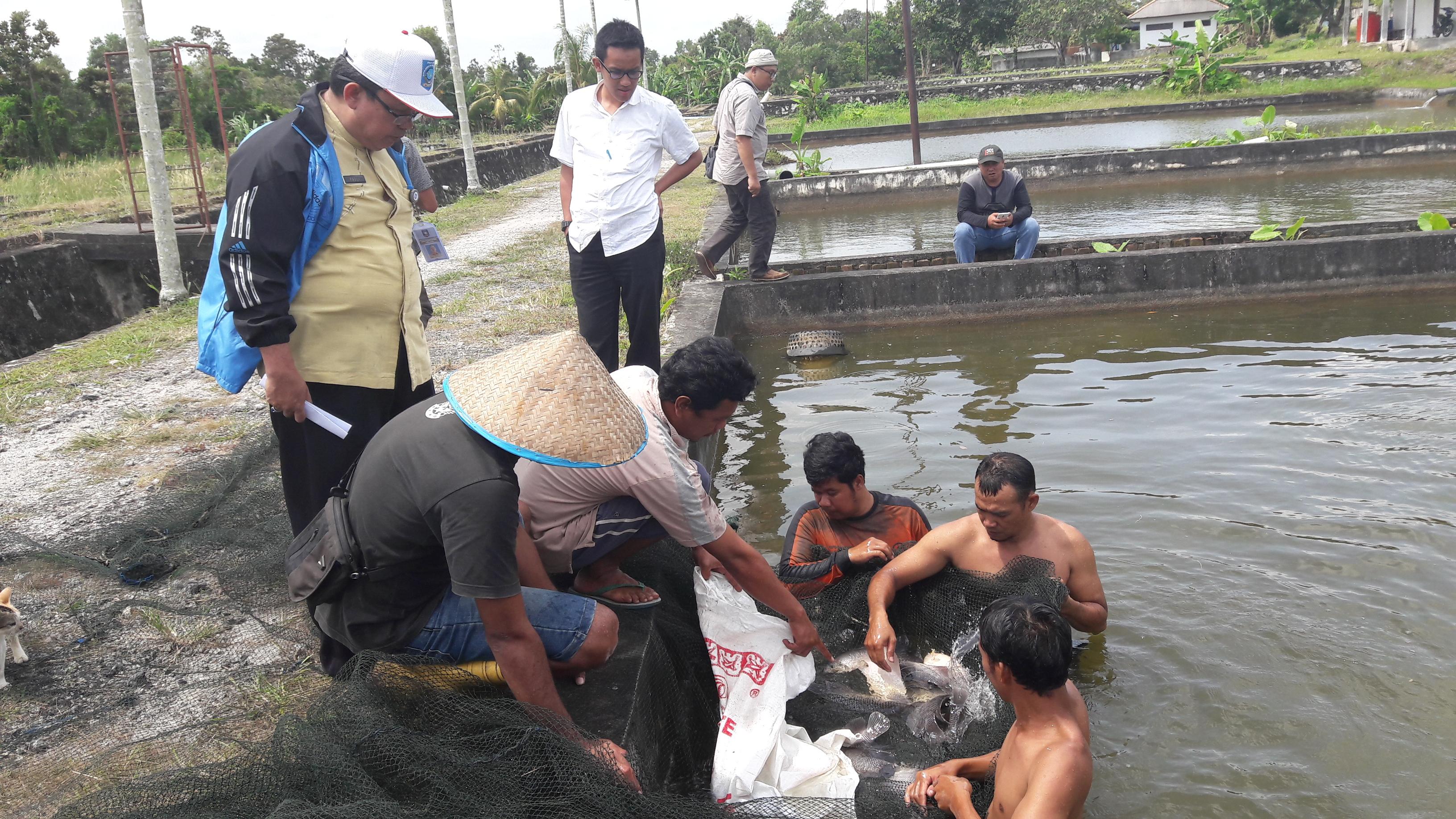 Gubernur Pastikan Aset BBIS Pemali Bermanfaat untuk Masyarakat