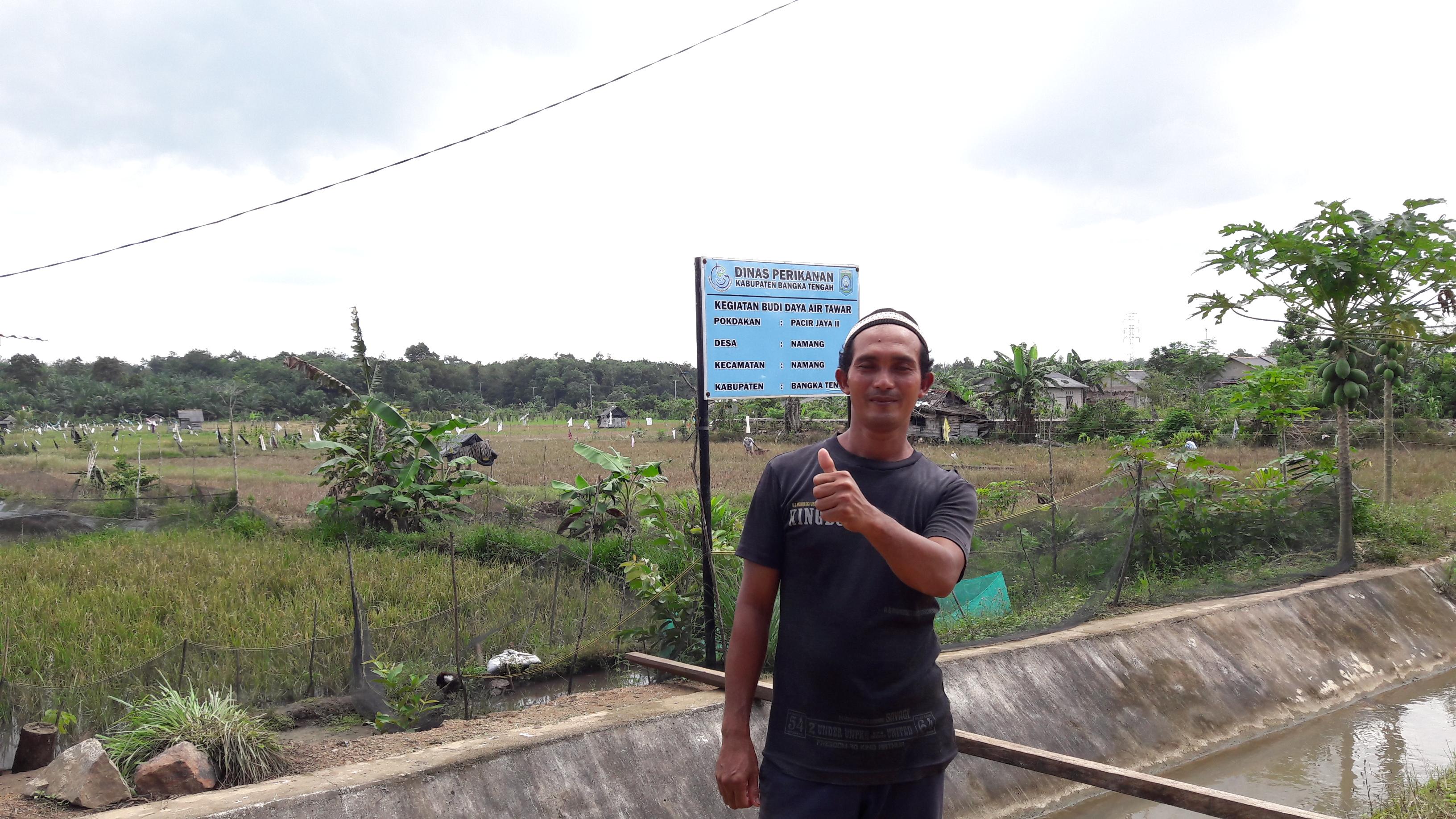 Budidaya Mina Padi, Tanam Padi Bonus Ikan
