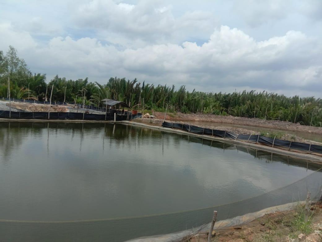 Suryanto Afong Pelopor BUSMETIK Pertama di Bangka Belitung