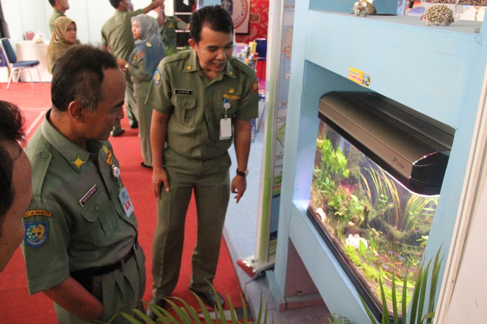 Pemenang Bagi Pengelola dan Pemasar Ikan Hias Terbaik