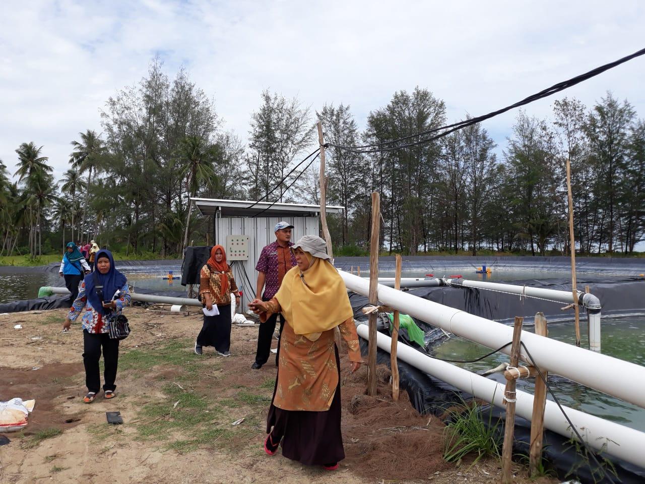 DKP Babel Dorong Pembudidaya Miliki Sertifikat  CBIB