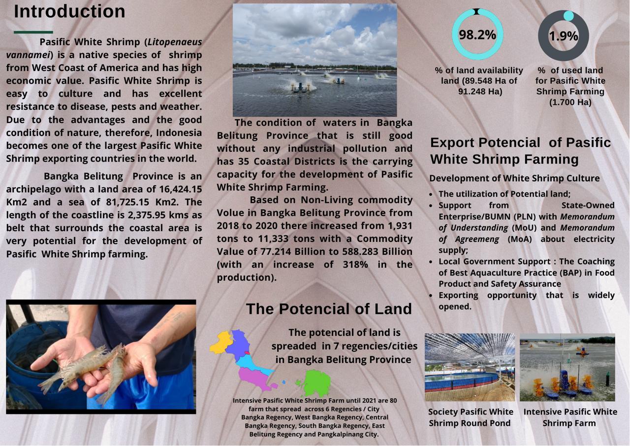 Prospek Budidaya Udang Vannamei di Kepulauan bangka Belitung