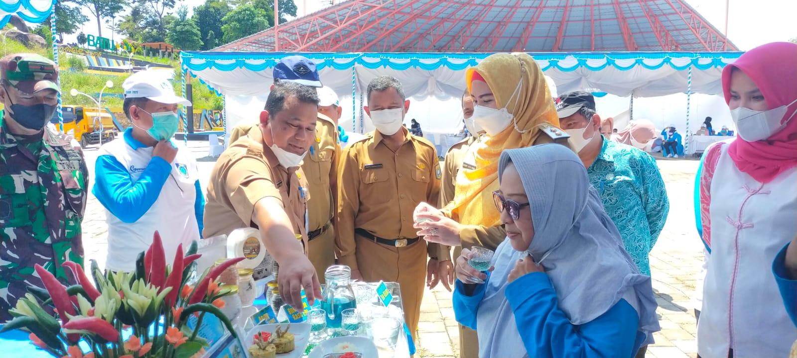 Lomba Masak Ikan Tingkat Provinsi, Peserta  Ditantang Adu Jago Olah Ikan Manyung